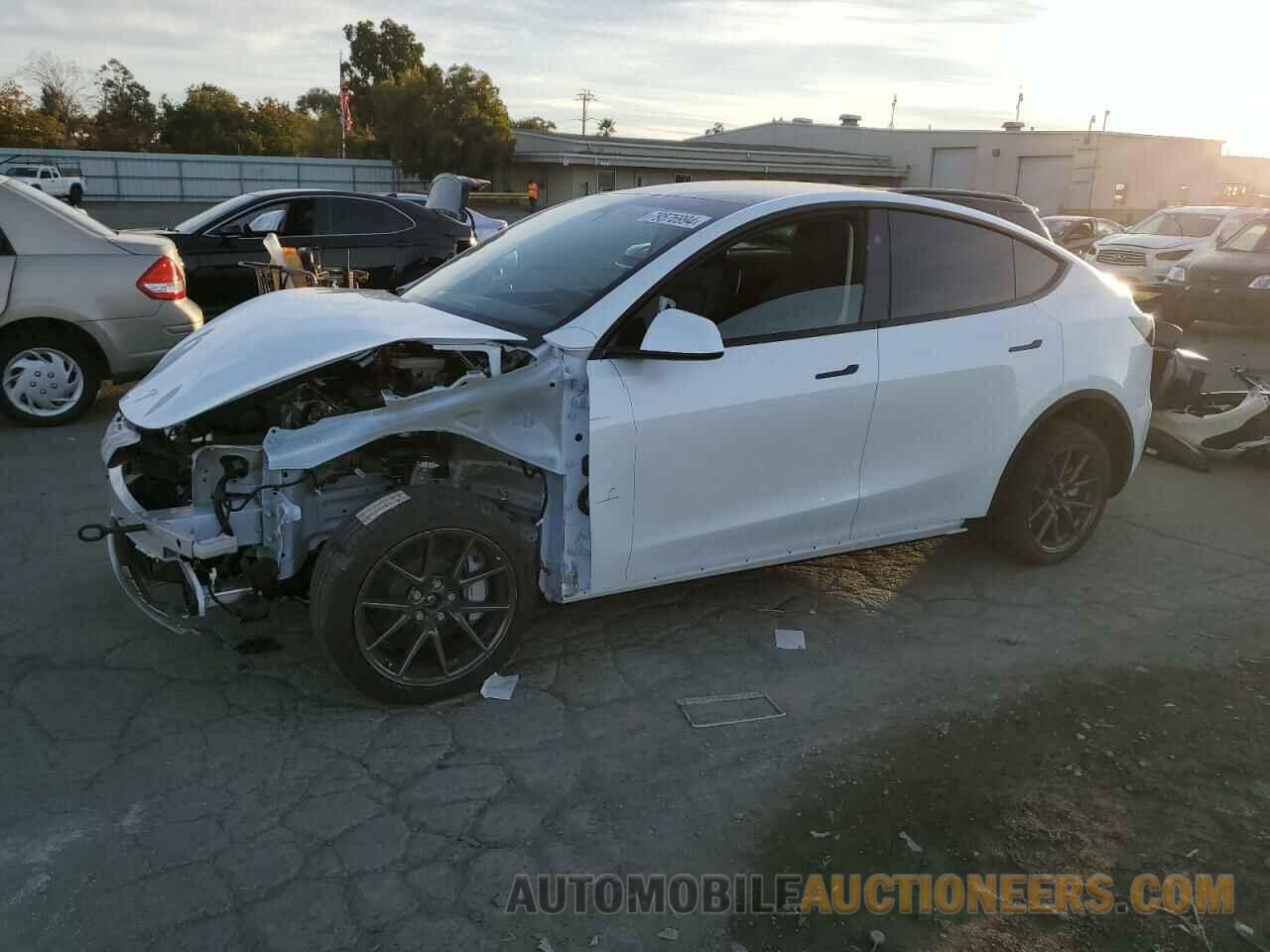 7SAYGDEE0RF196081 TESLA MODEL Y 2024