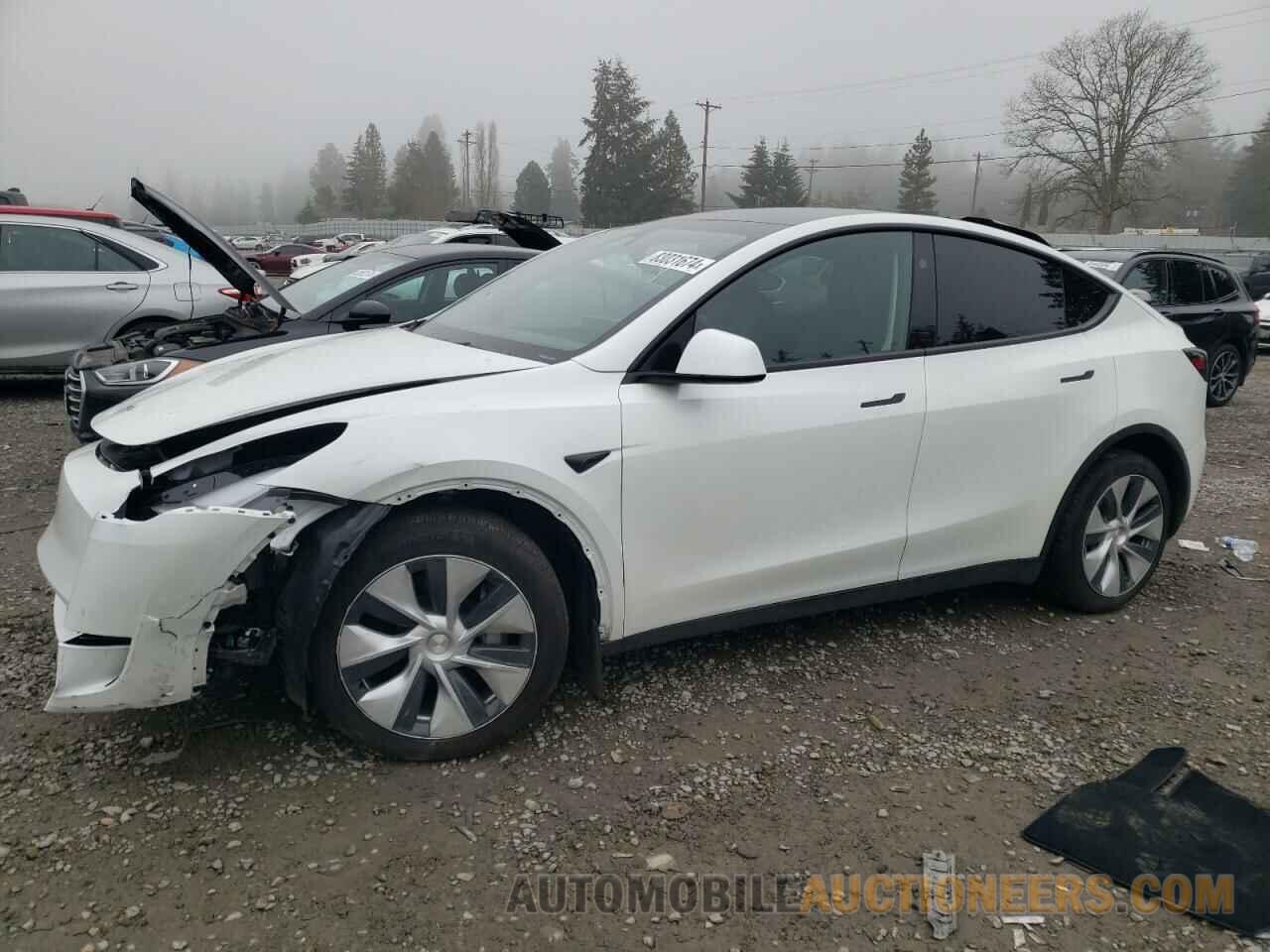 7SAYGDEE3RF014812 TESLA MODEL Y 2024