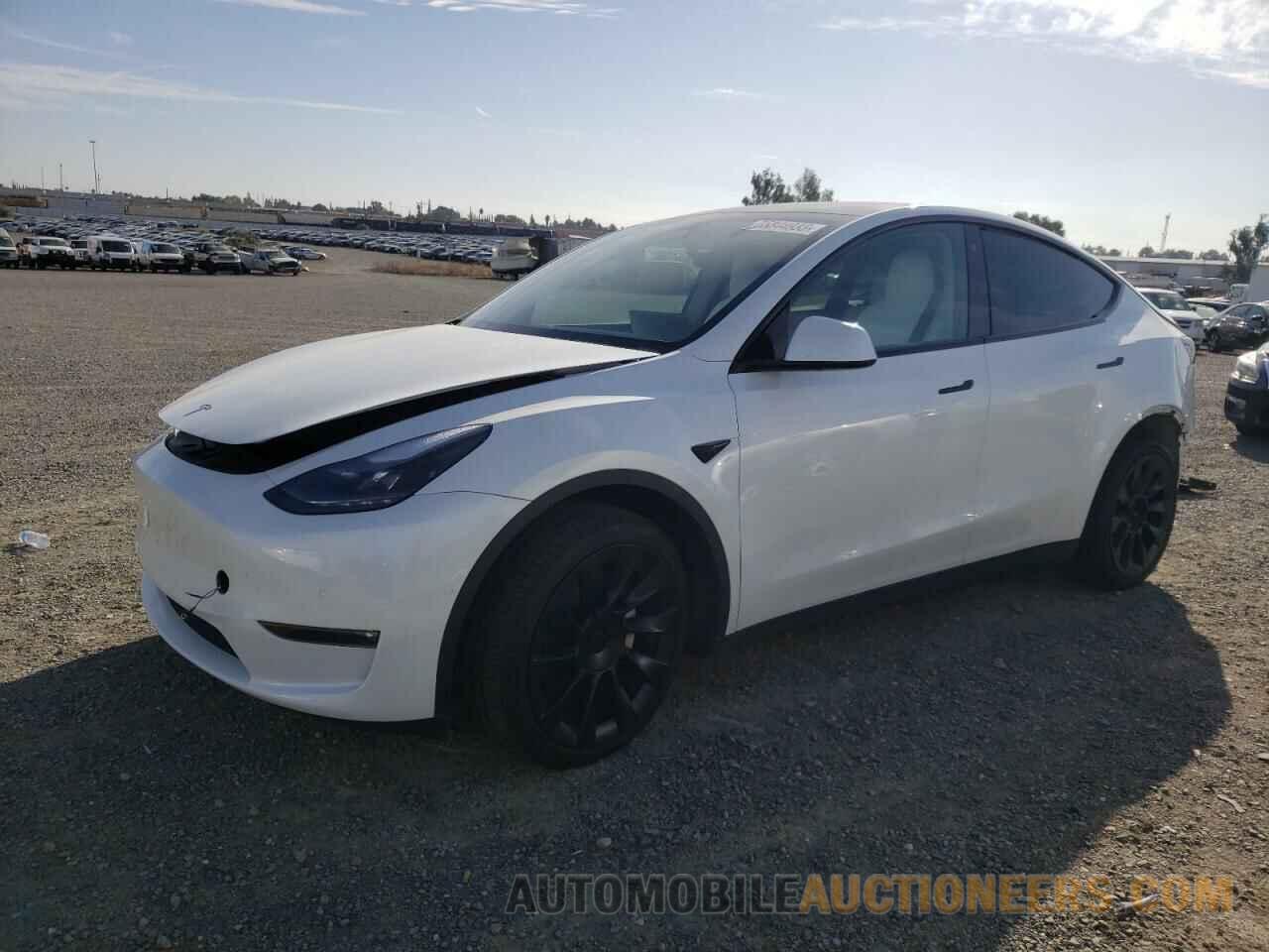 7SAYGDEEXNF555687 TESLA MODEL Y 2022