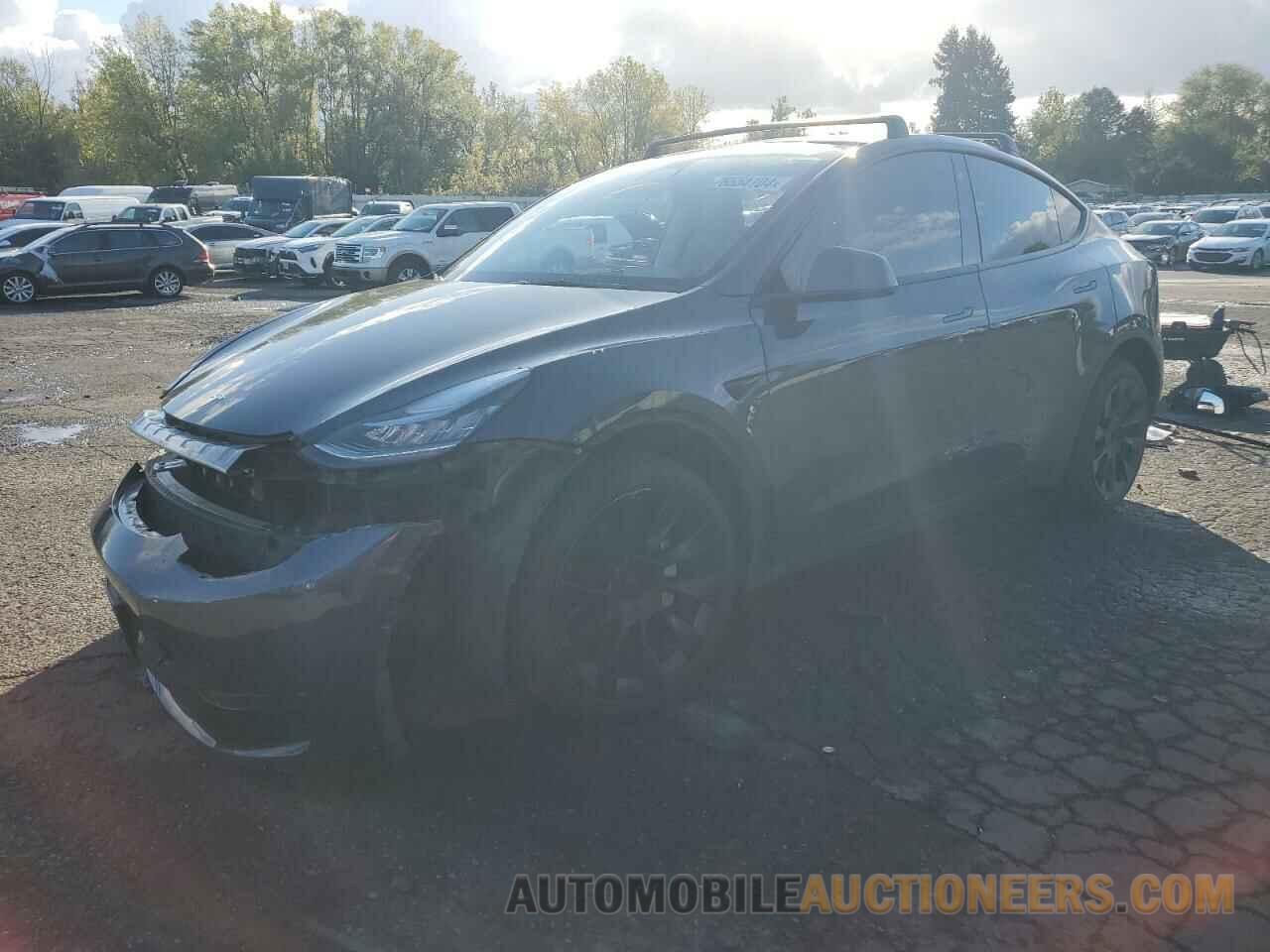 7SAYGDEEXPF598767 TESLA MODEL Y 2023