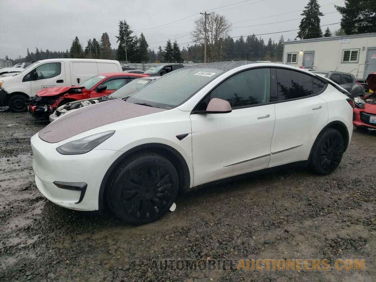 7SAYGDEEXPF979065 TESLA MODEL Y 2023