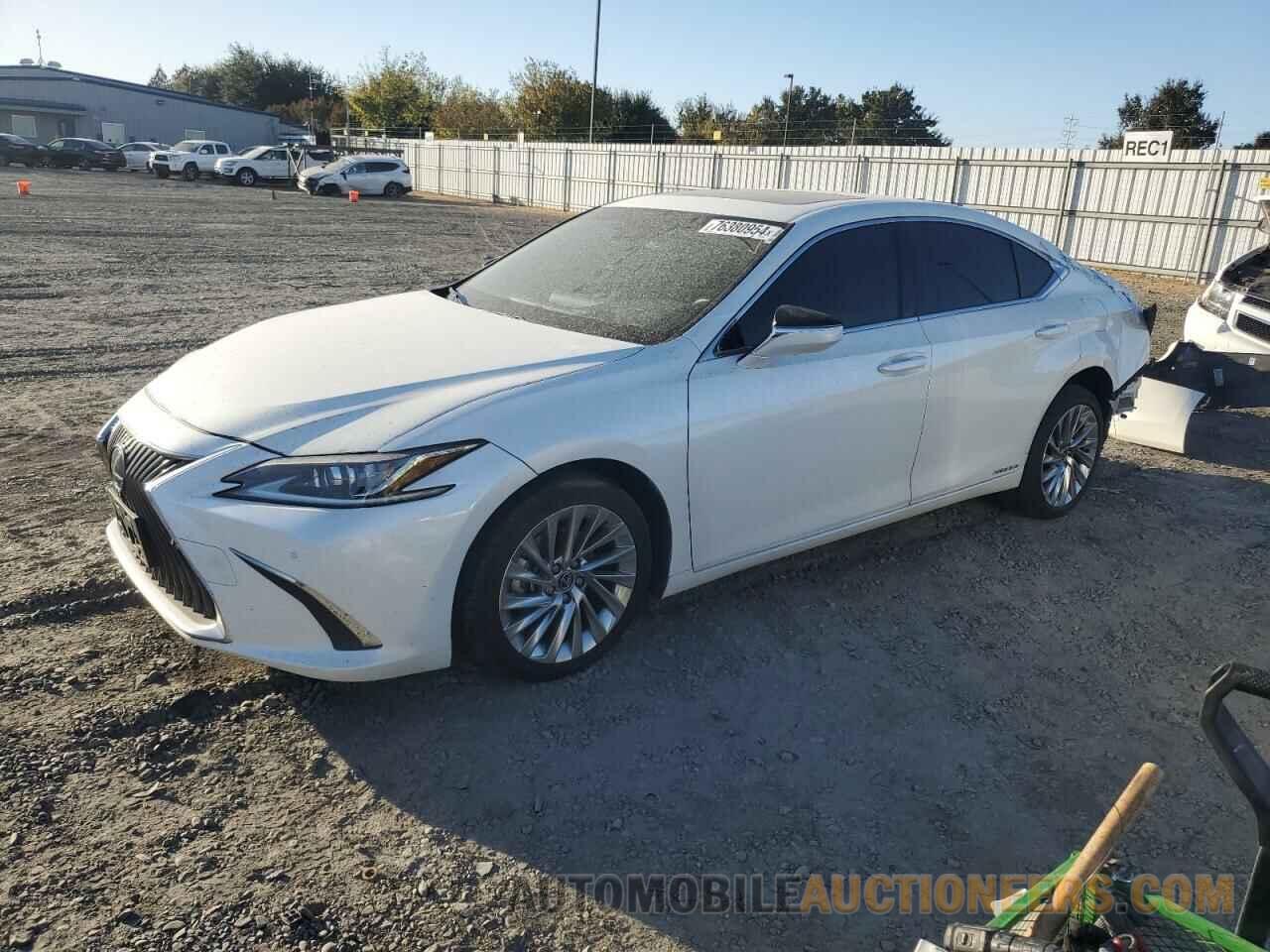 JTHB21B13K2024216 LEXUS ES300 2019