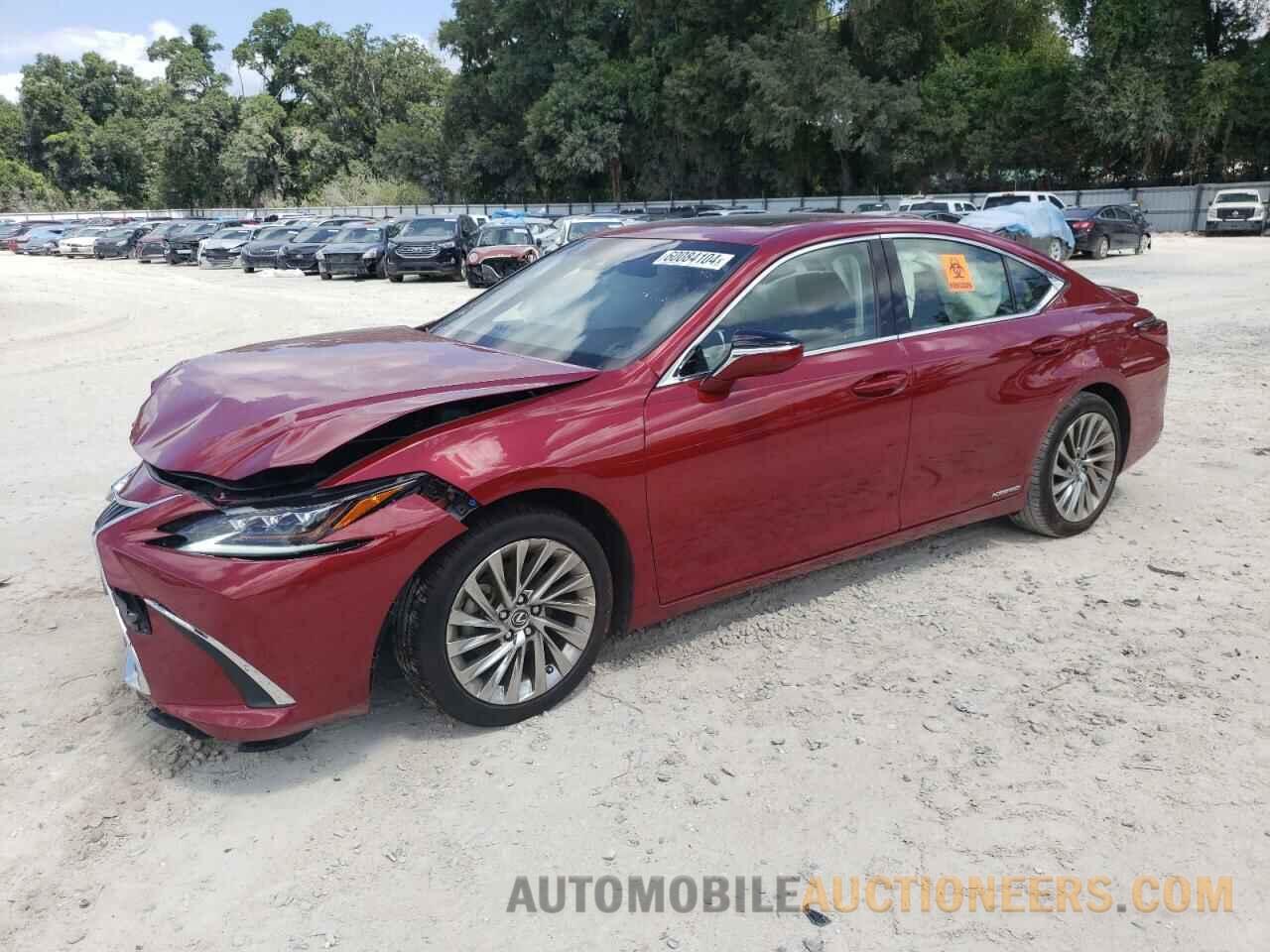 JTHB21B1XK2002553 LEXUS ES300 2019