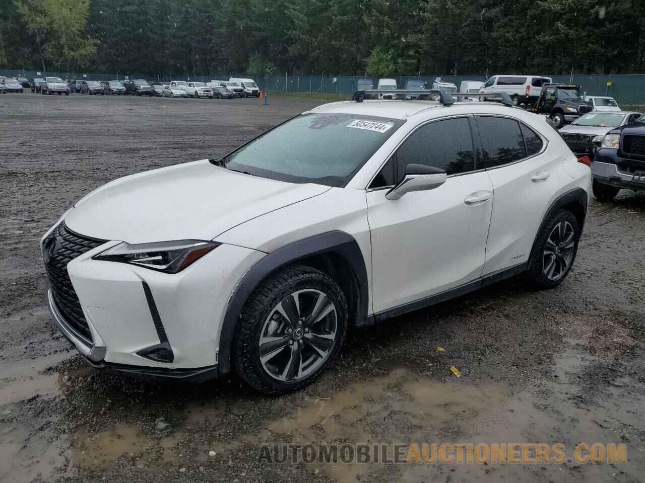 JTHX9JBH7L2031217 LEXUS UX 250H 2020