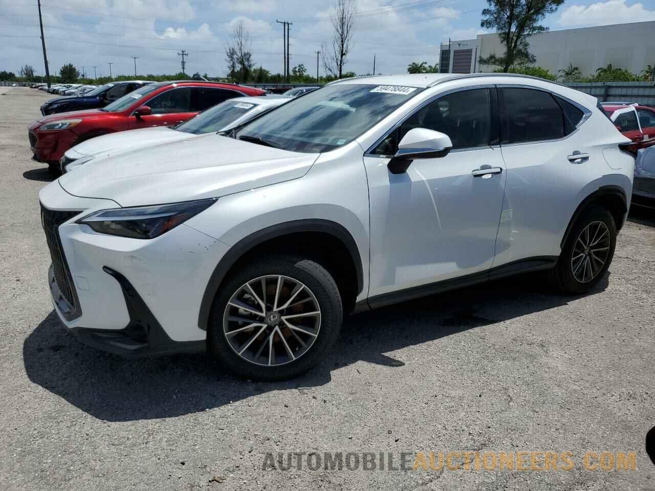 JTJADCAZ4P5012444 LEXUS NX 250 2023