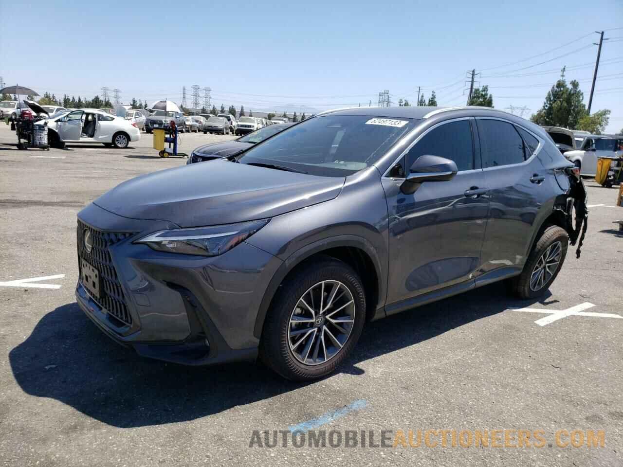 JTJADCAZ6R5013632 LEXUS NX 250 BAS 2024