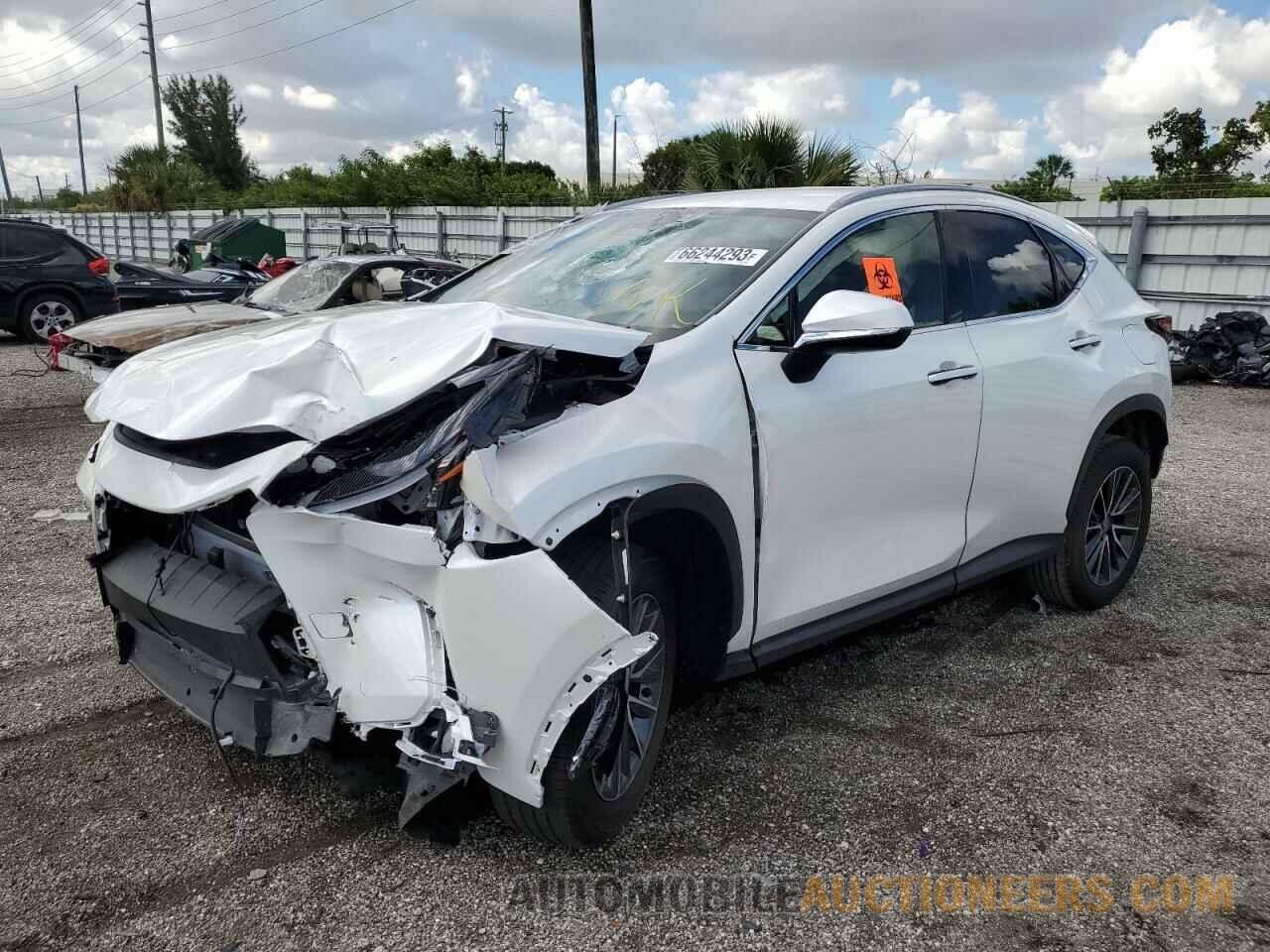 JTJADCAZ9R2008300 LEXUS NX 250 BAS 2024