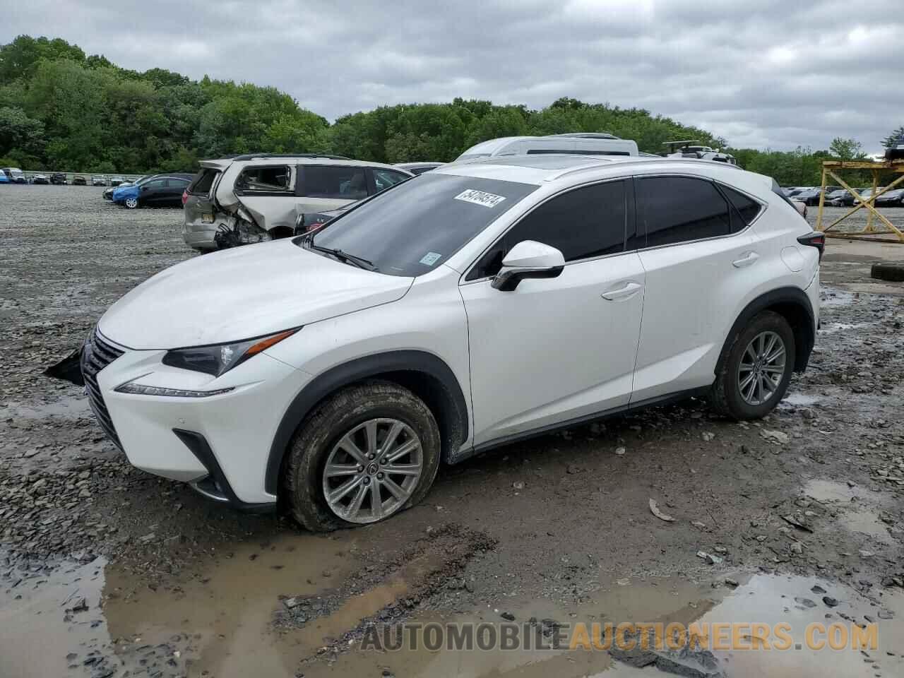 JTJBARBZ0J2166172 LEXUS NX 2018