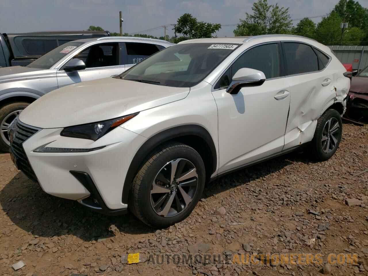 JTJBARBZ0K2188741 LEXUS NX 2019