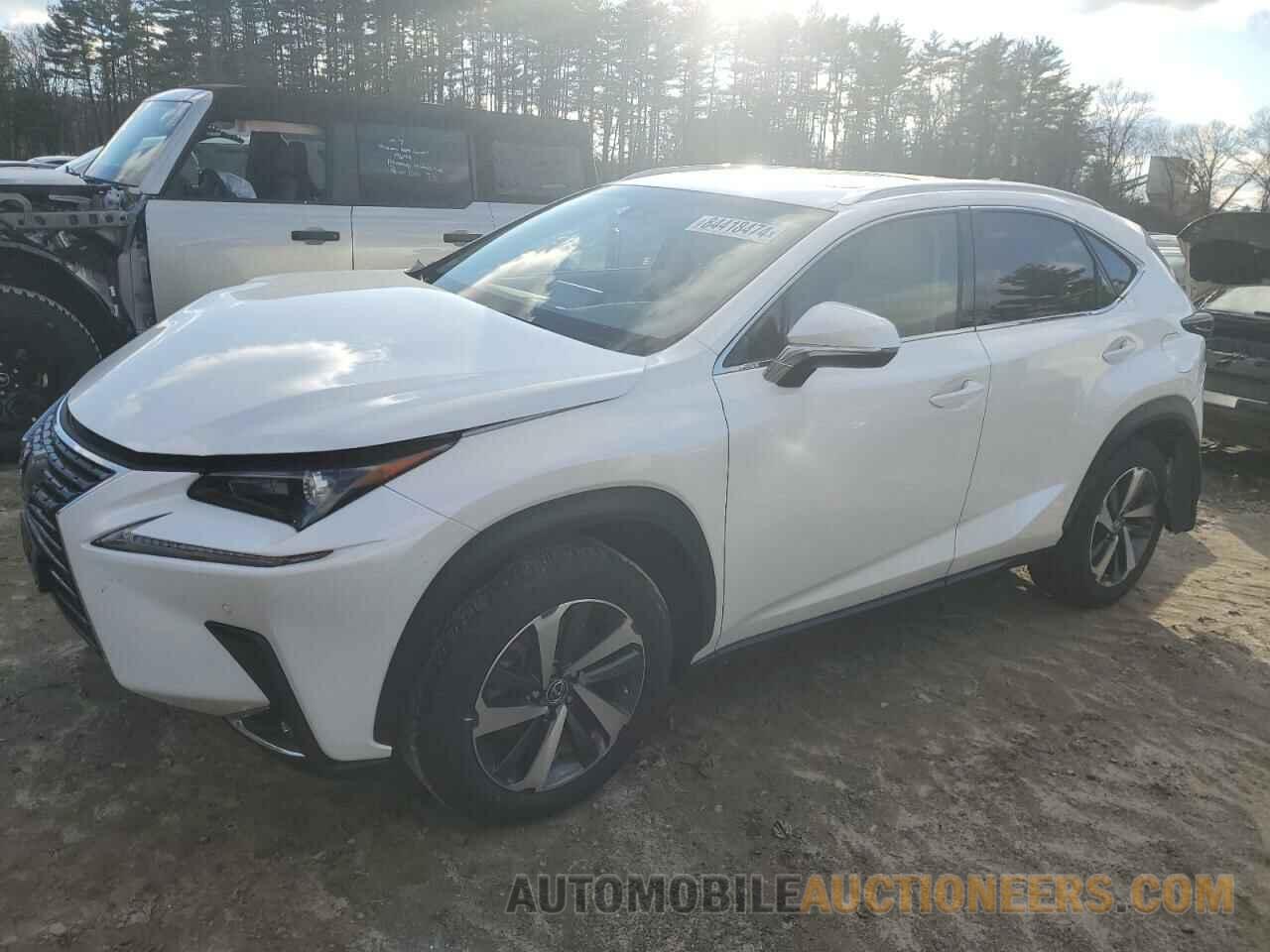 JTJBARBZ1J2165094 LEXUS NX 2018