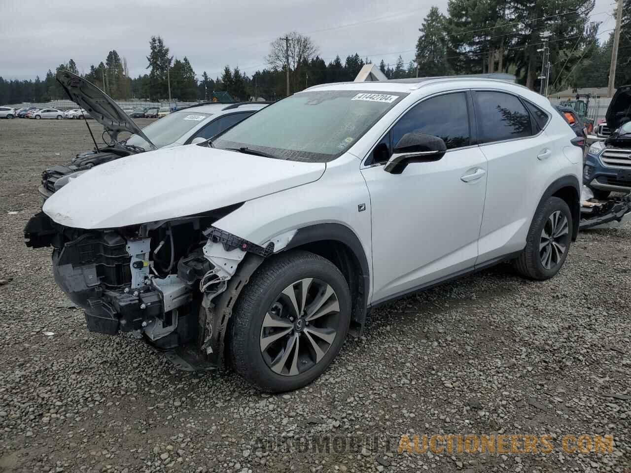 JTJBARBZ1J2177553 LEXUS NX 2018