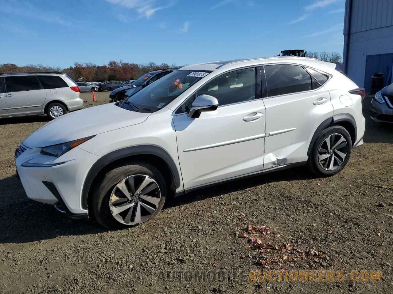 JTJBARBZ1K2192975 LEXUS NX 2019