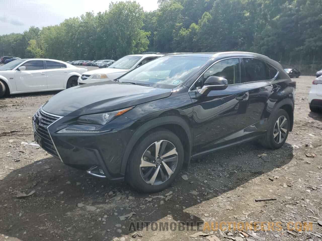 JTJBARBZ1K2202064 LEXUS NX 2019