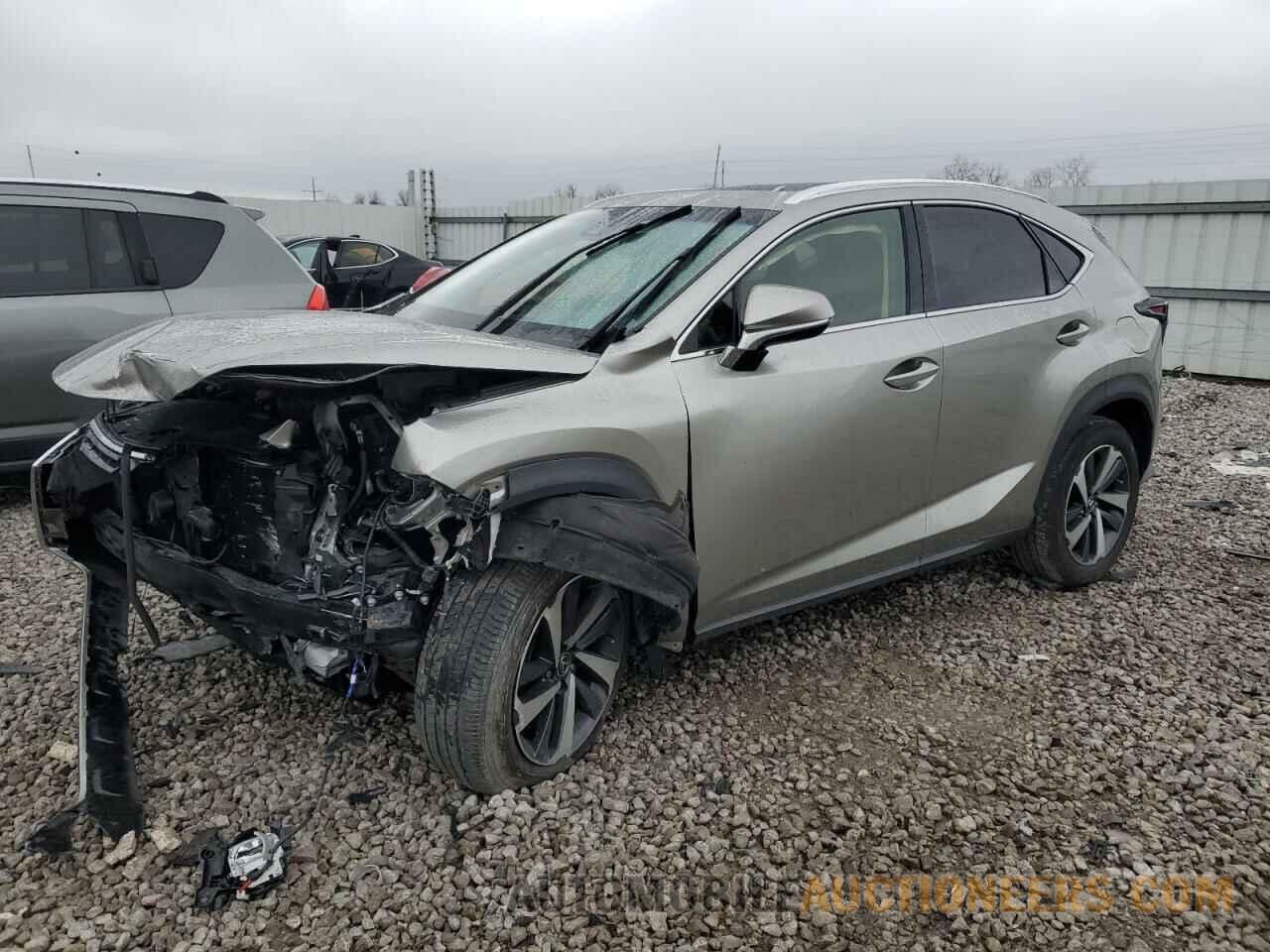 JTJBARBZ1K2204641 LEXUS NX 2019