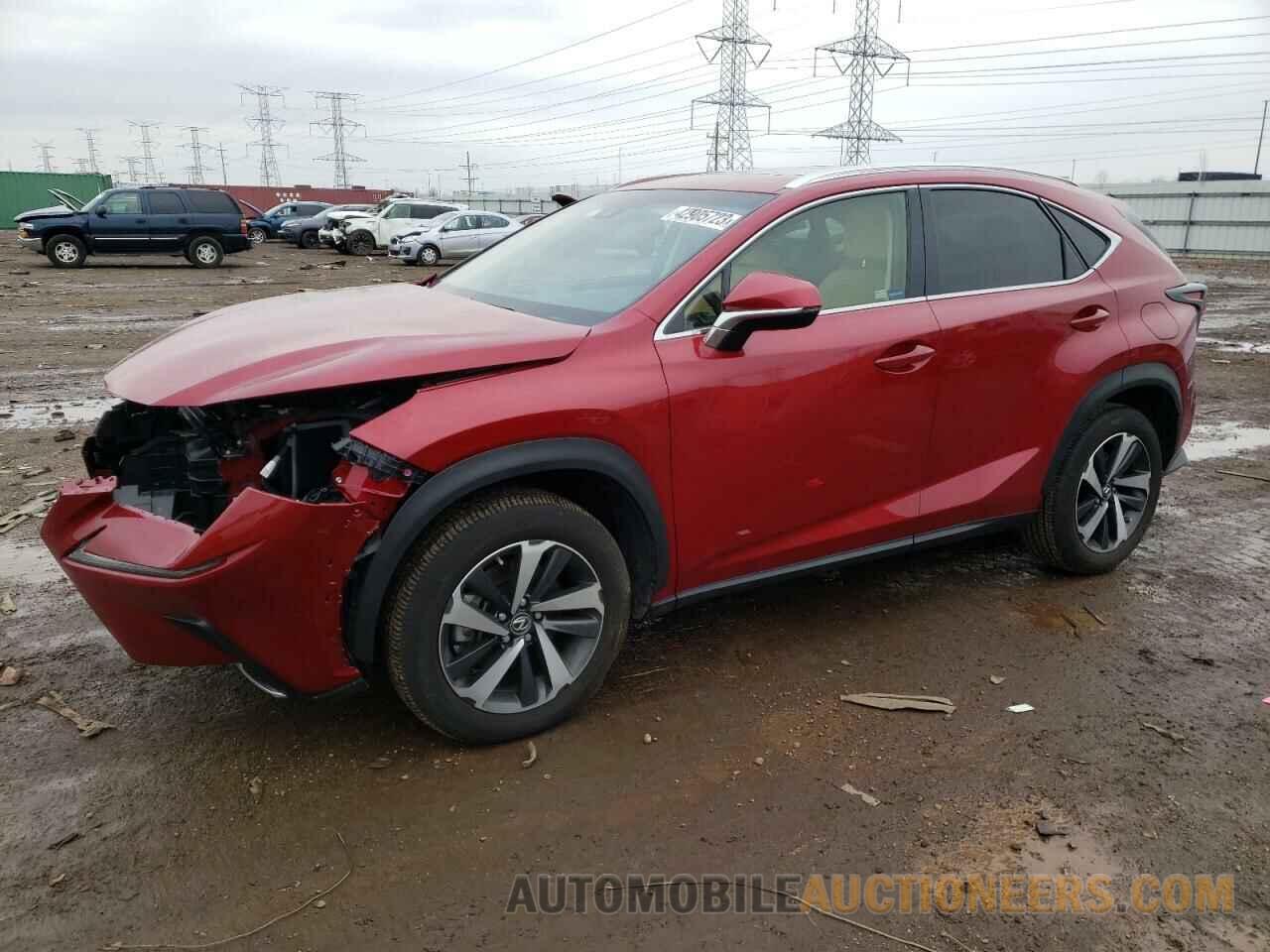 JTJBARBZ1K2213145 LEXUS NX 2019