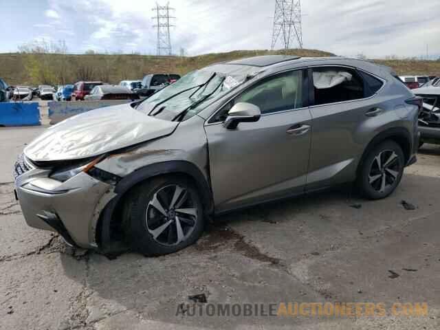 JTJBARBZ2K2207225 LEXUS NX 2019