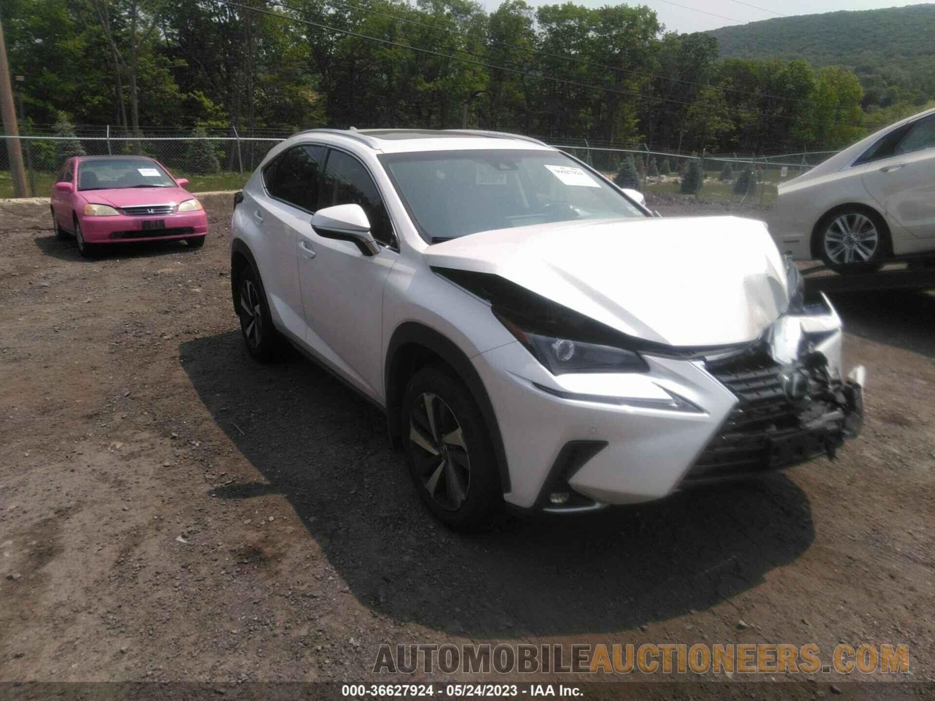 JTJBARBZ3K2182089 LEXUS NX 2019