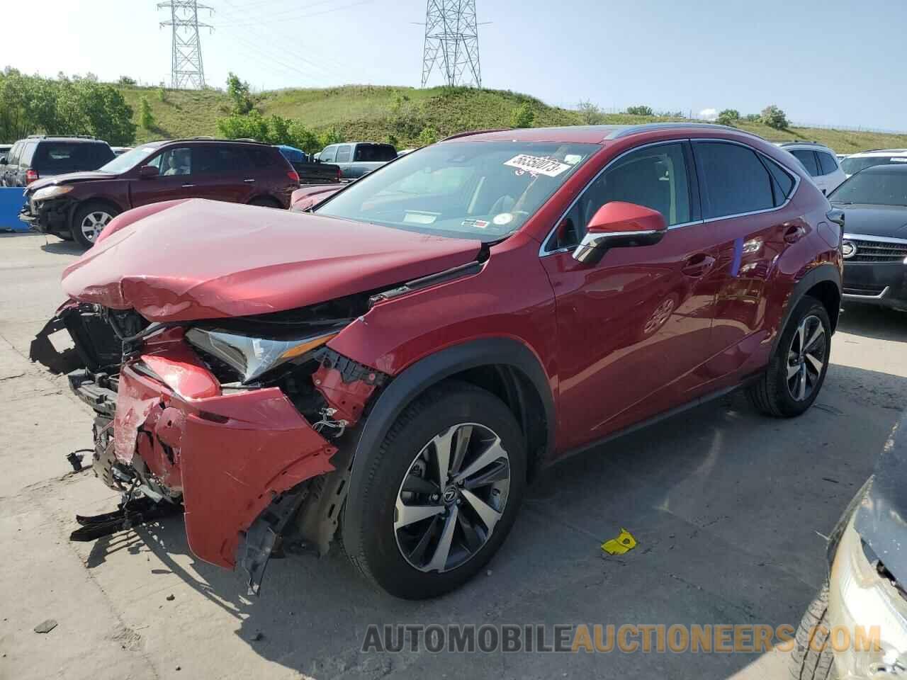 JTJBARBZ3K2210117 LEXUS NX 2019