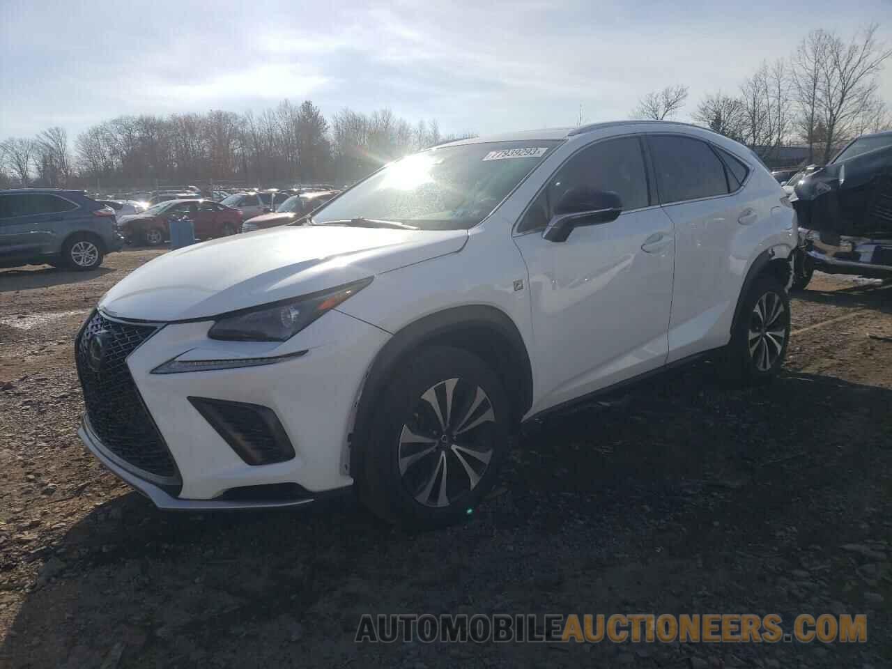 JTJBARBZ4J2172086 LEXUS NX 2018