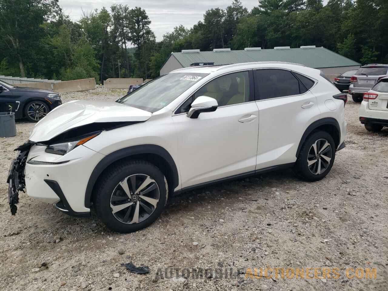 JTJBARBZ4K2184529 LEXUS NX 2019