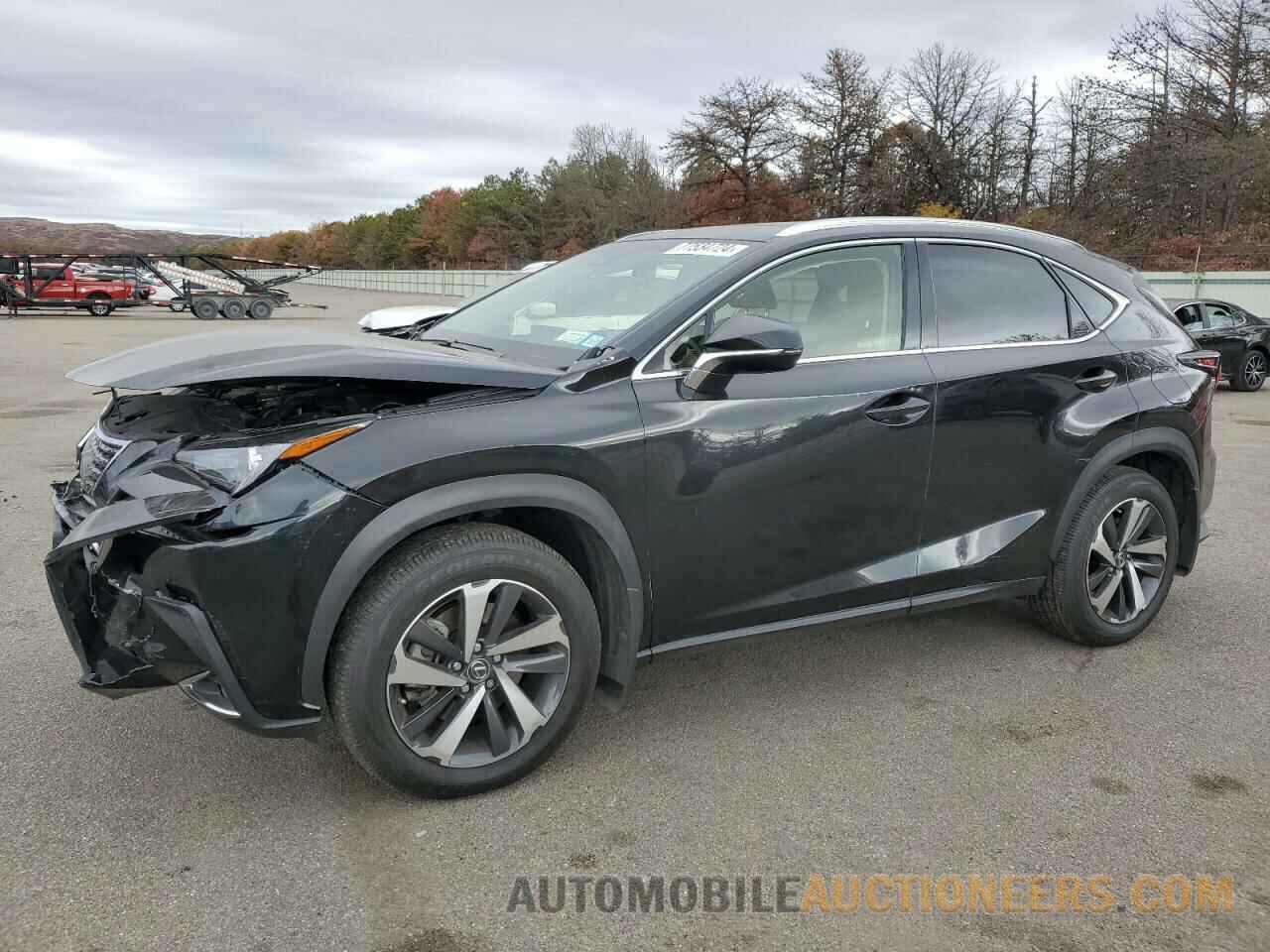 JTJBARBZ4K2187916 LEXUS NX 2019