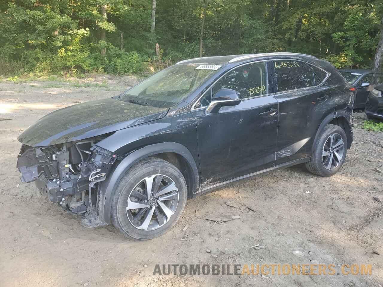 JTJBARBZ5J2150646 LEXUS NX 2018