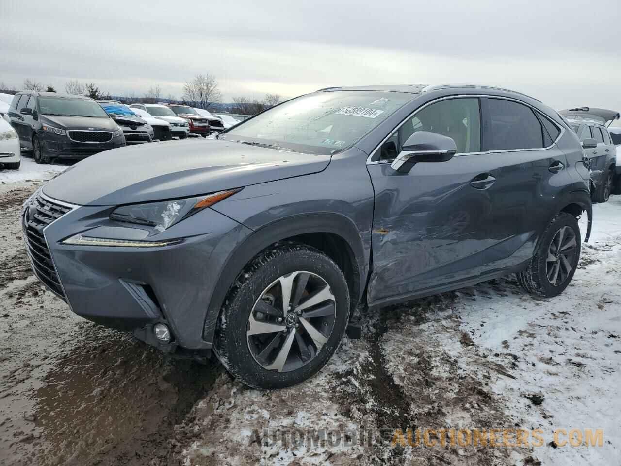 JTJBARBZ5J2162070 LEXUS NX 2018