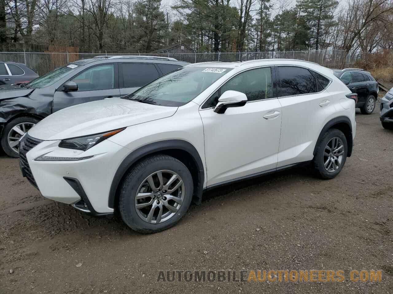 JTJBARBZ5K2199704 LEXUS NX 2019