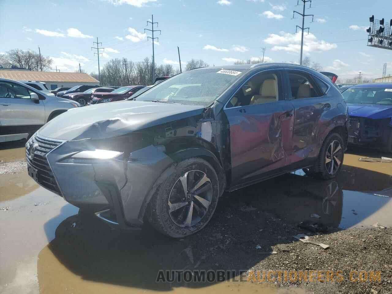 JTJBARBZ5K2205551 LEXUS NX 2019