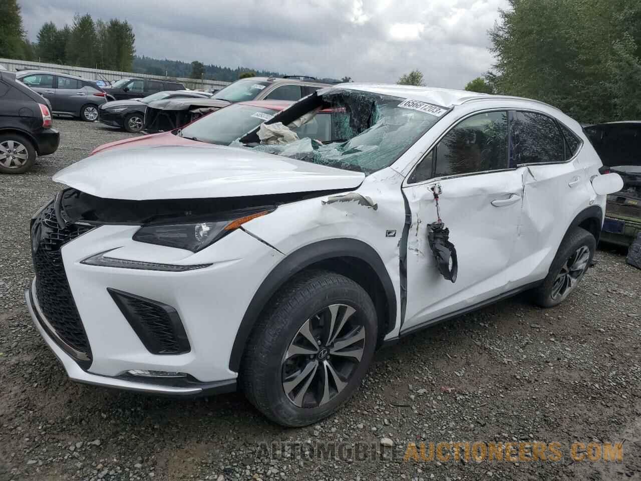 JTJBARBZ7J2167304 LEXUS NX 2018