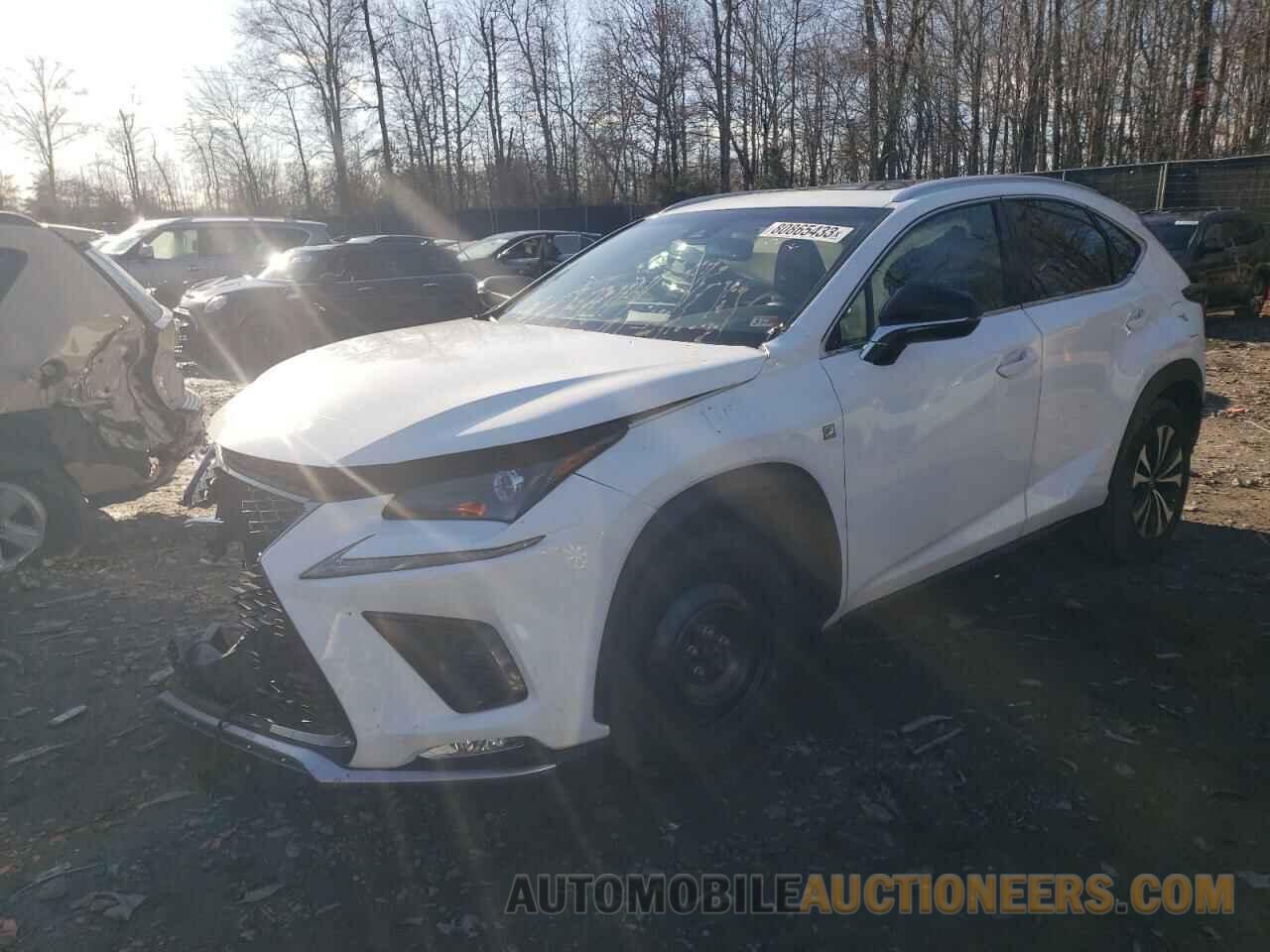 JTJBARBZ7K2193256 LEXUS NX 2019