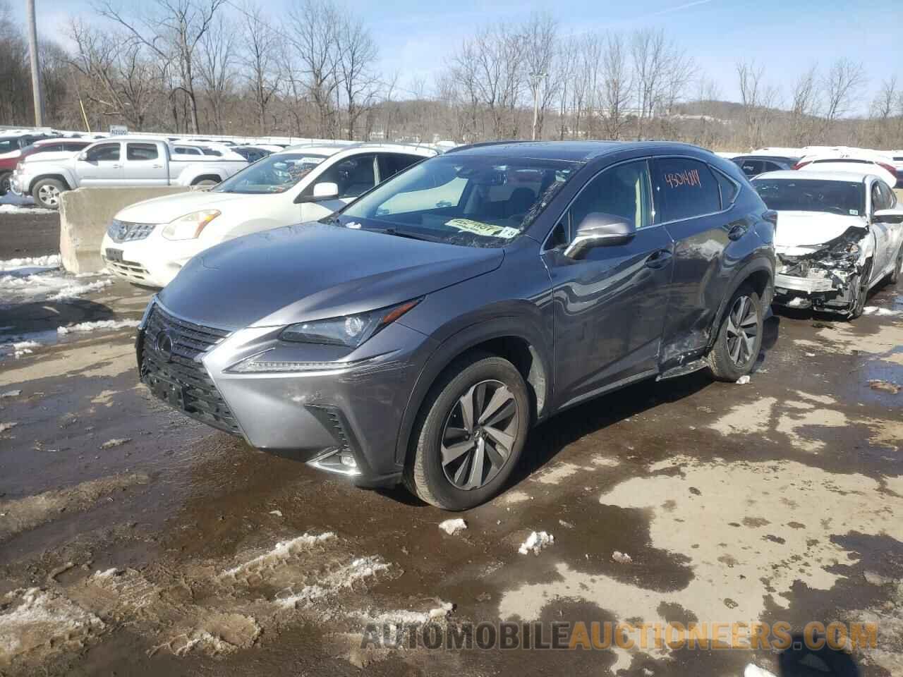 JTJBARBZ7K2216387 LEXUS NX 2019