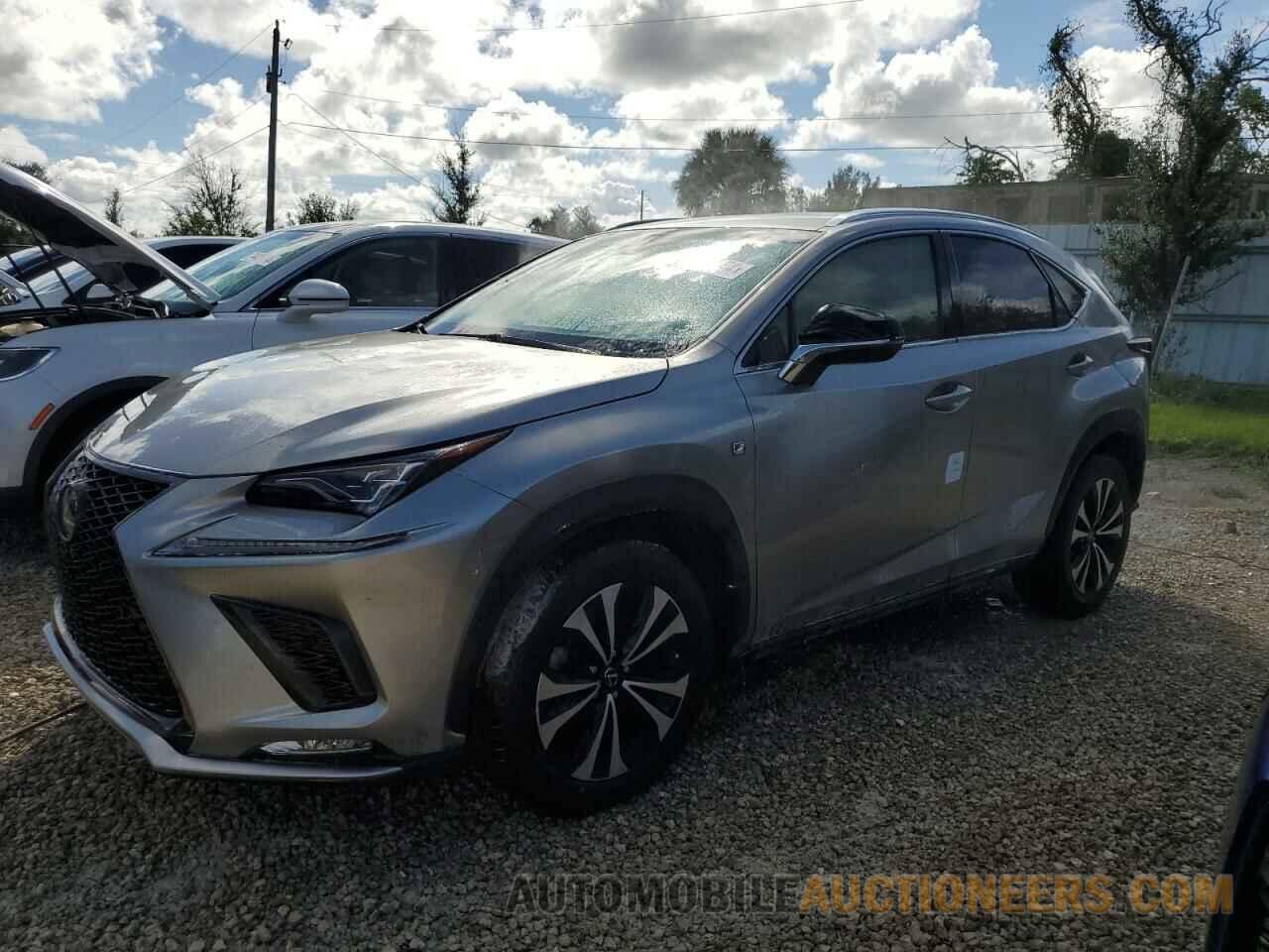 JTJBARBZ8K2213210 LEXUS NX 2019