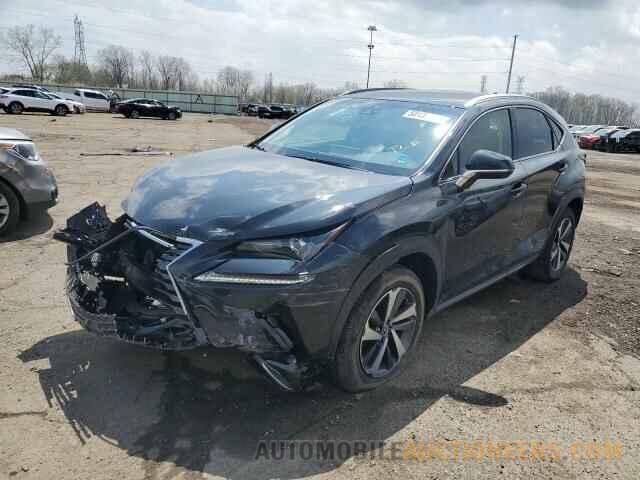 JTJBARBZ8K2216270 LEXUS NX 2019