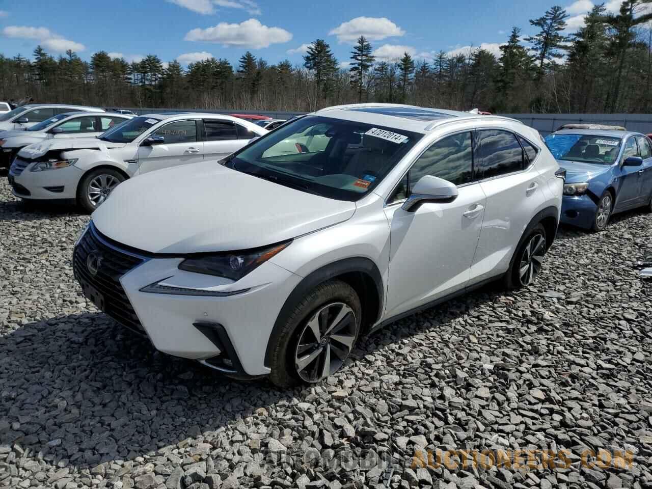 JTJBARBZ9K2183490 LEXUS NX 2019