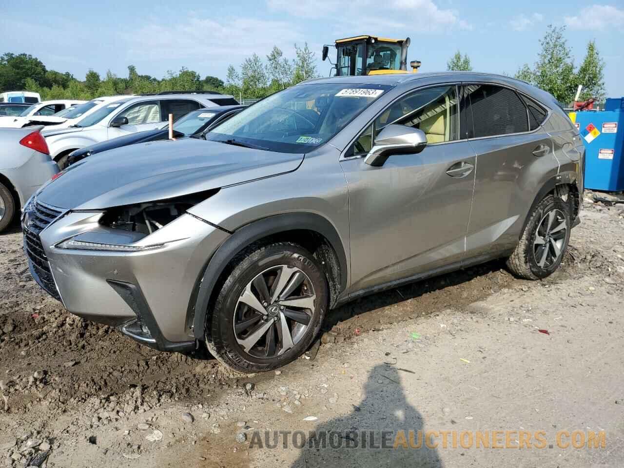 JTJBARBZ9K2190231 LEXUS NX 2019