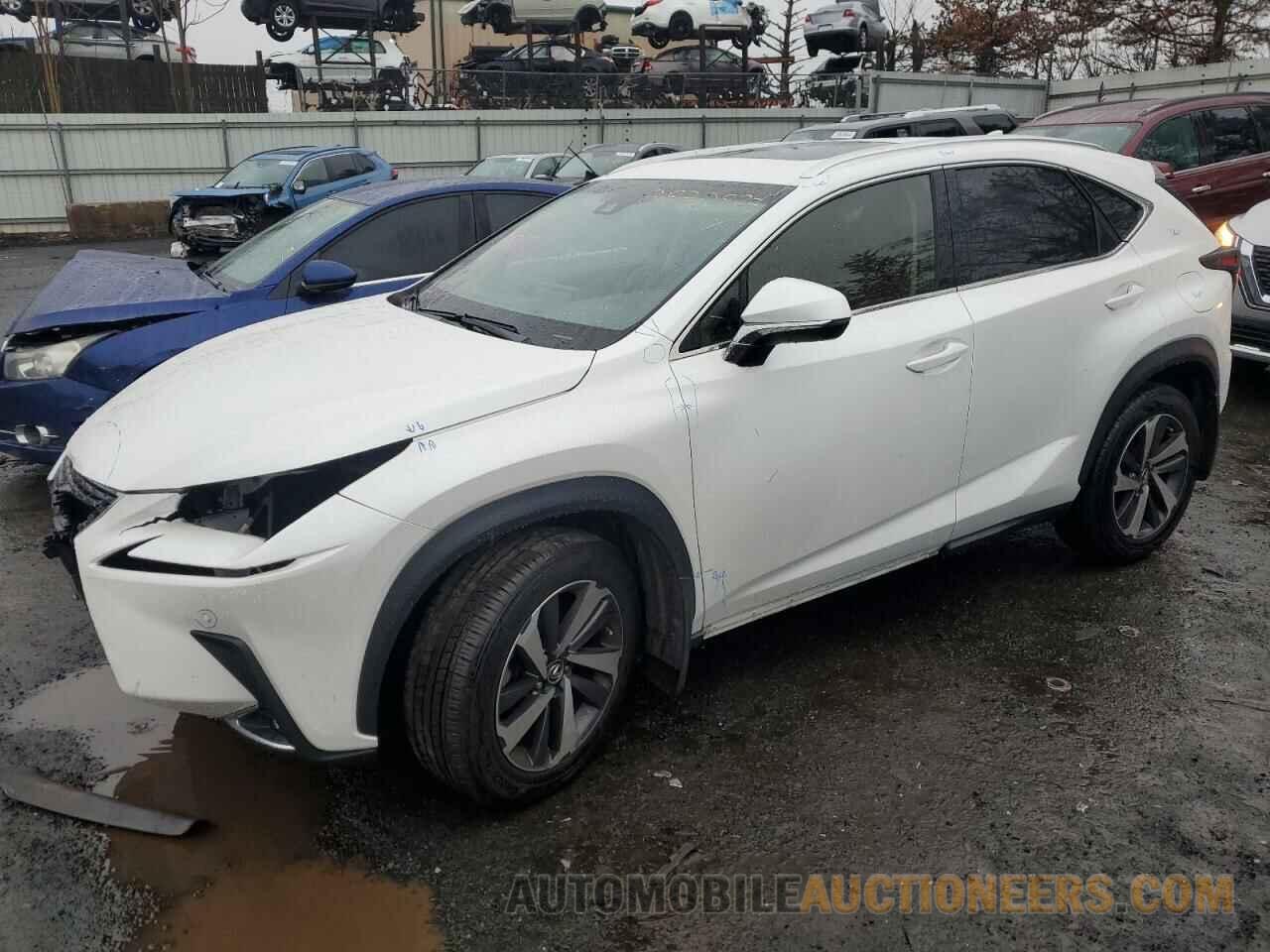 JTJBARBZ9K2191993 LEXUS NX 2019