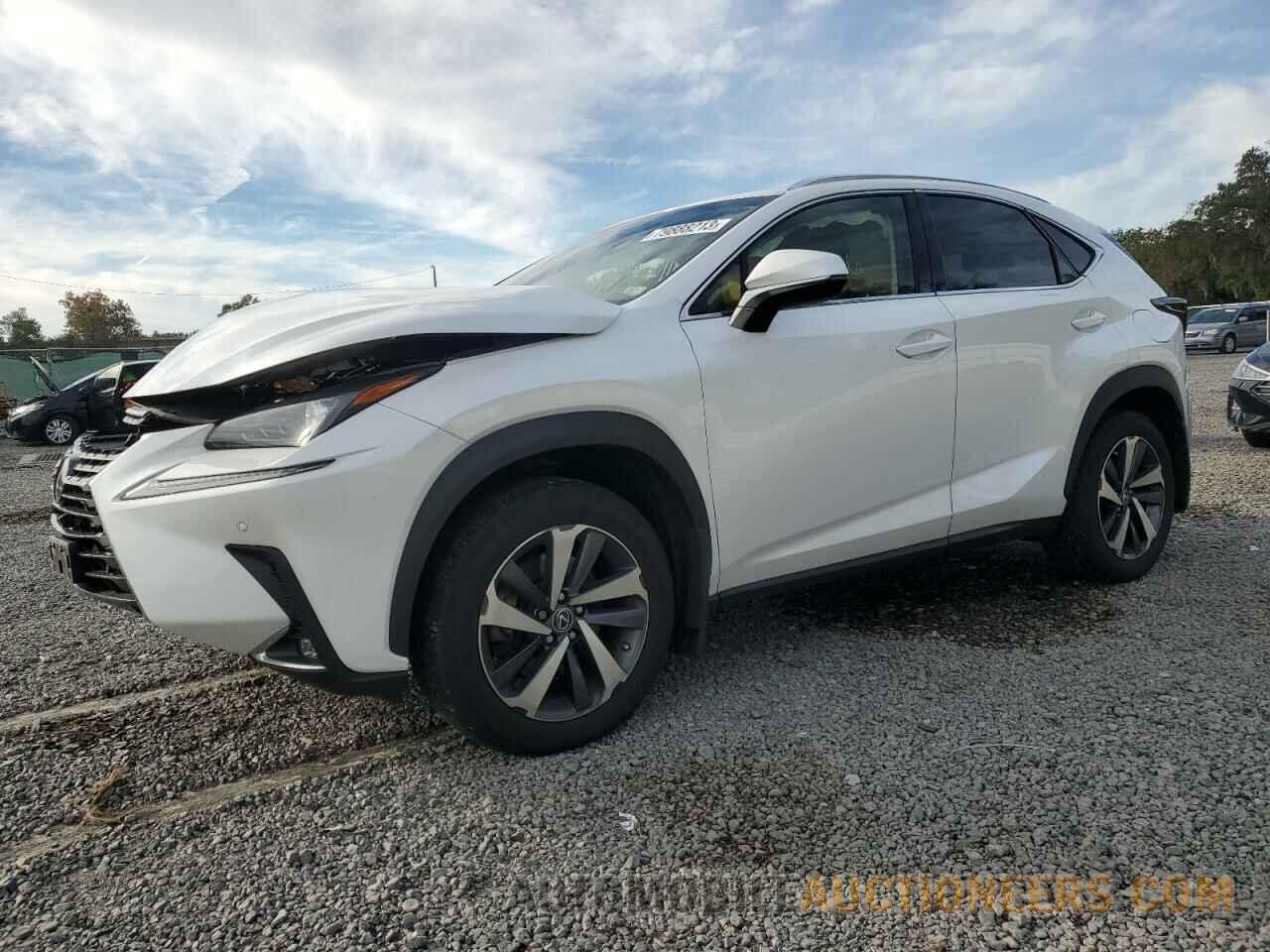 JTJBARBZ9K2194828 LEXUS NX 2019