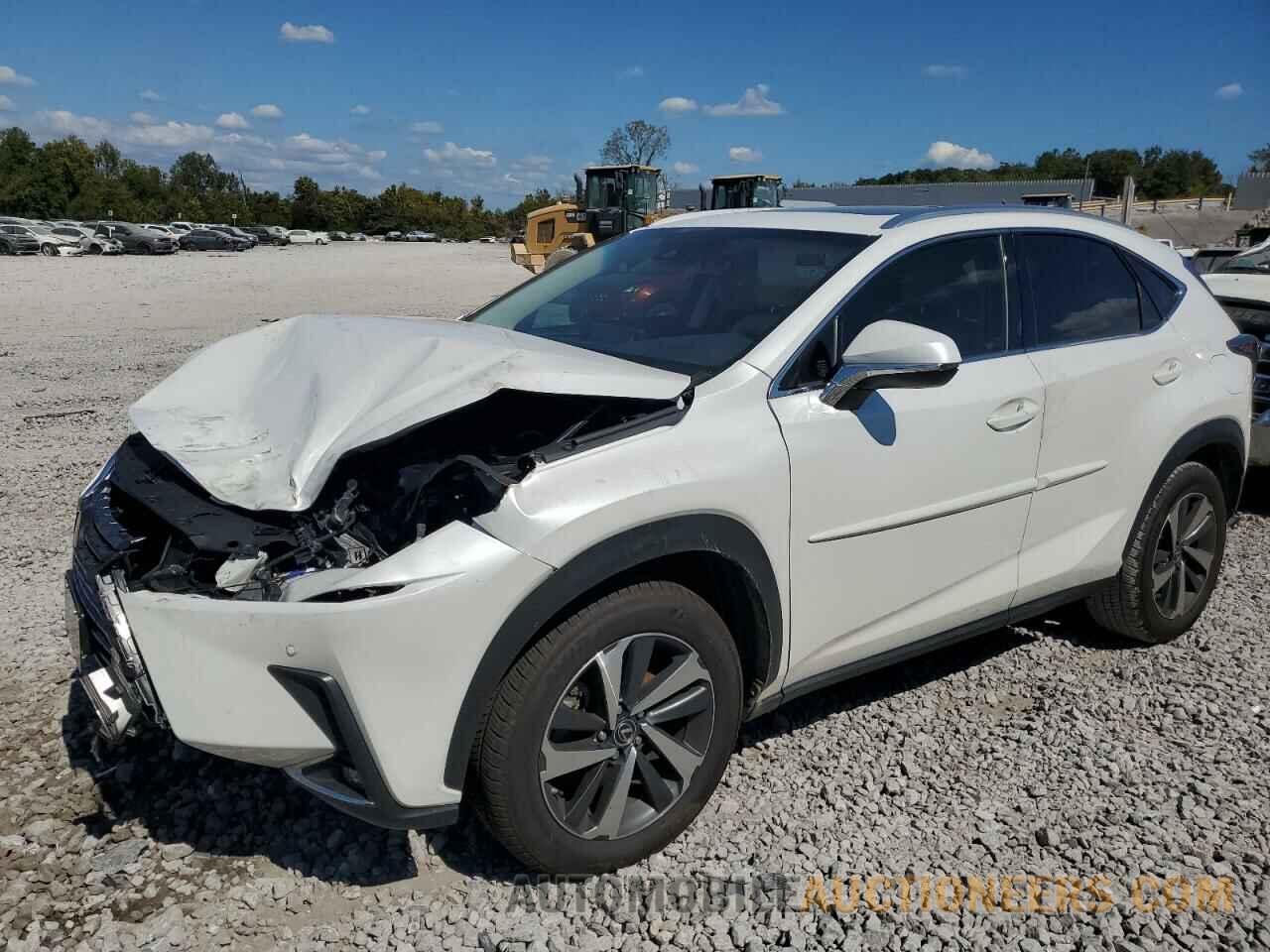 JTJBARBZ9K2198149 LEXUS NX 2019