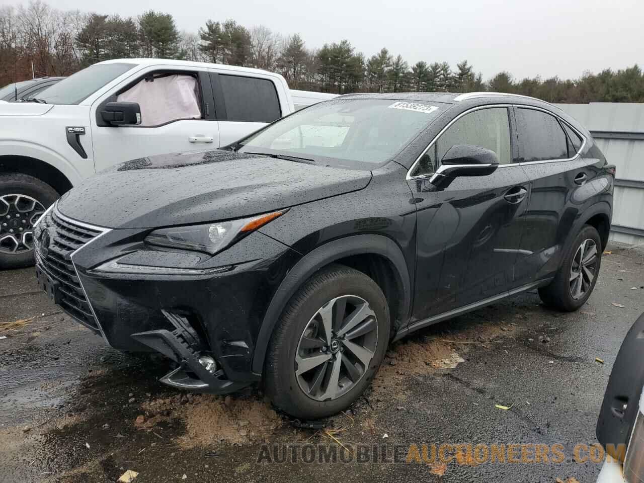 JTJBARBZ9K2199575 LEXUS NX 2019