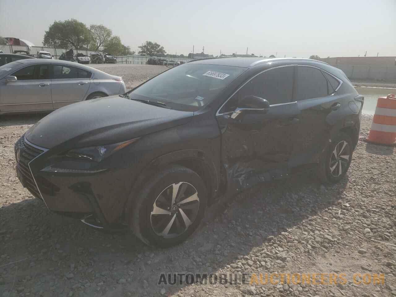 JTJBARBZ9K2205116 LEXUS NX 2019