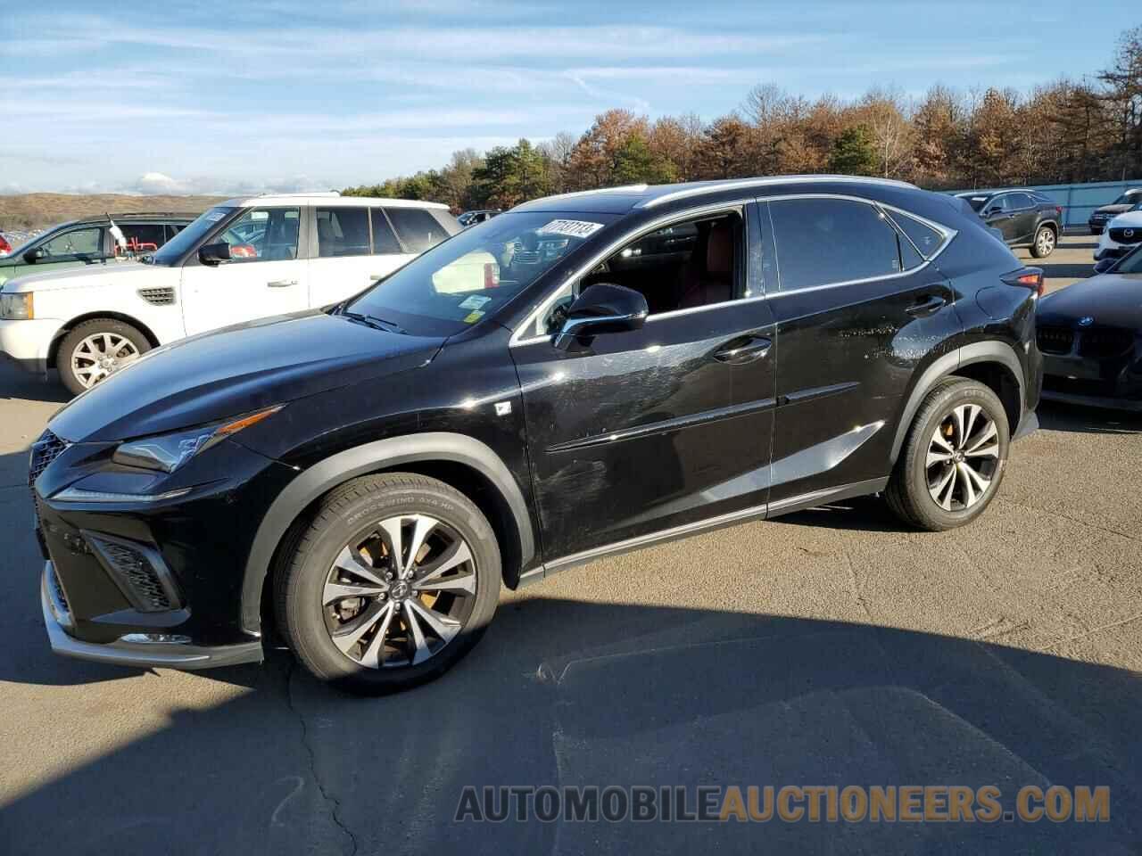 JTJBARBZ9K2205844 LEXUS NX 2019