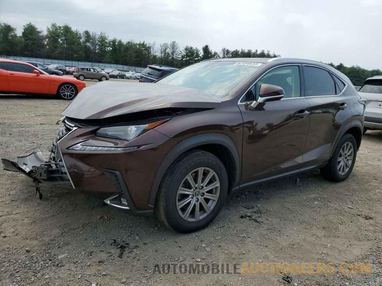 JTJBARBZ9K2209585 LEXUS NX 2019