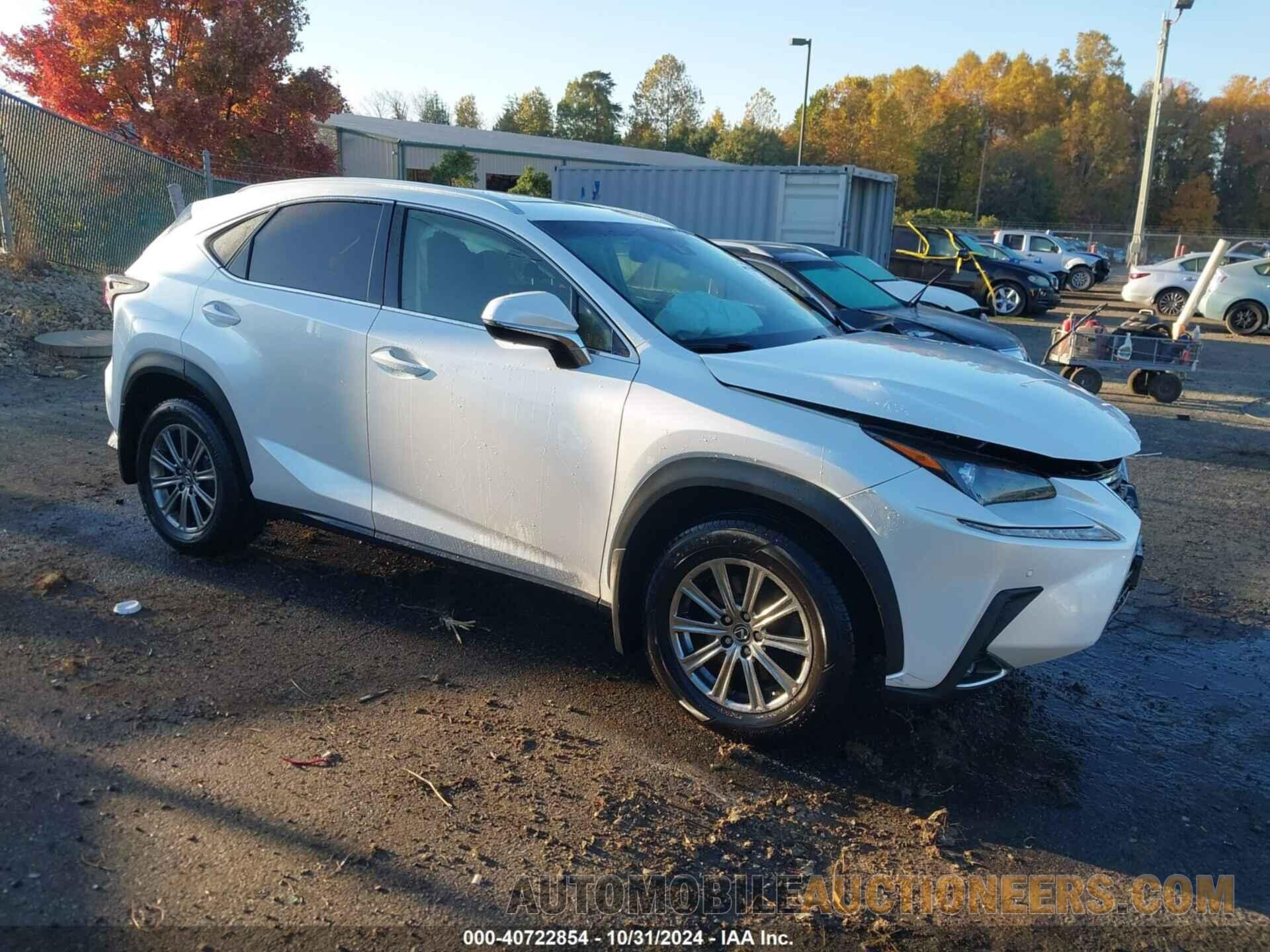 JTJBARBZXJ2160668 LEXUS NX 300 2018