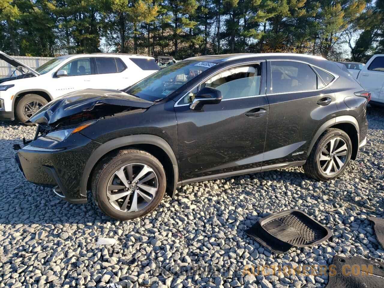 JTJBJRBZ7K2106228 LEXUS NX 2019