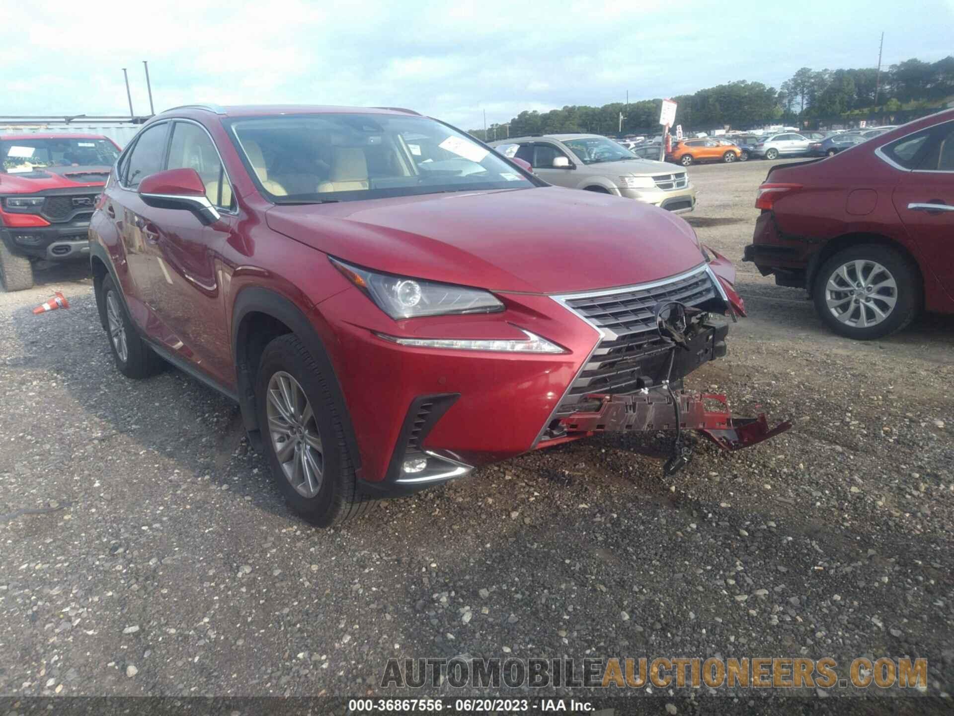 JTJDARDZ2M5024737 LEXUS NX 2021