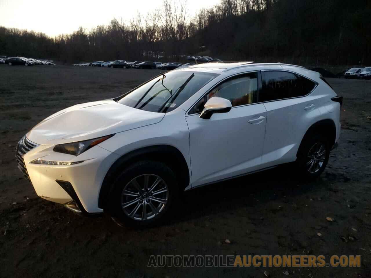 JTJDARDZ5M5026613 LEXUS NX 2021