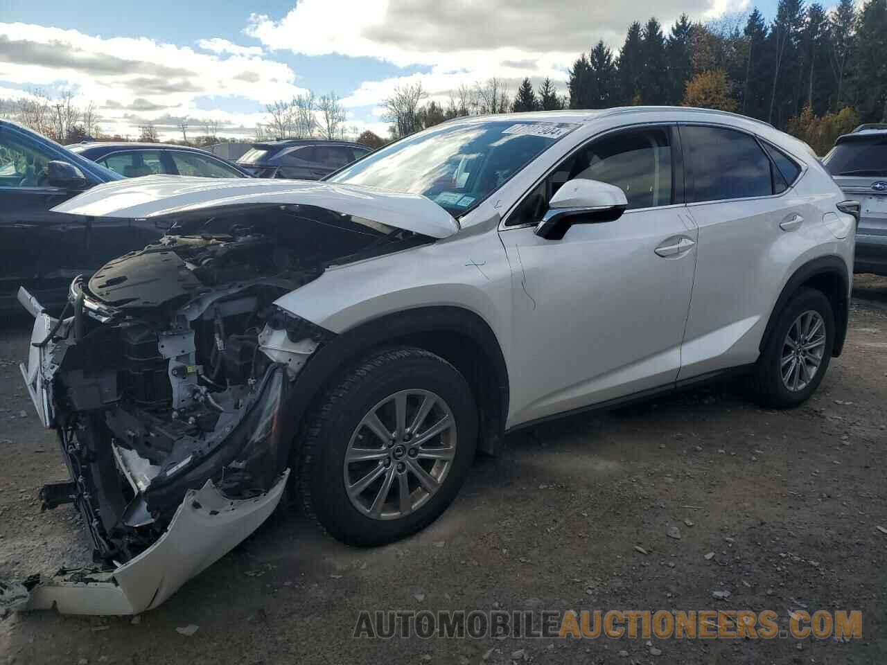 JTJDARDZ6M5024482 LEXUS NX 2021