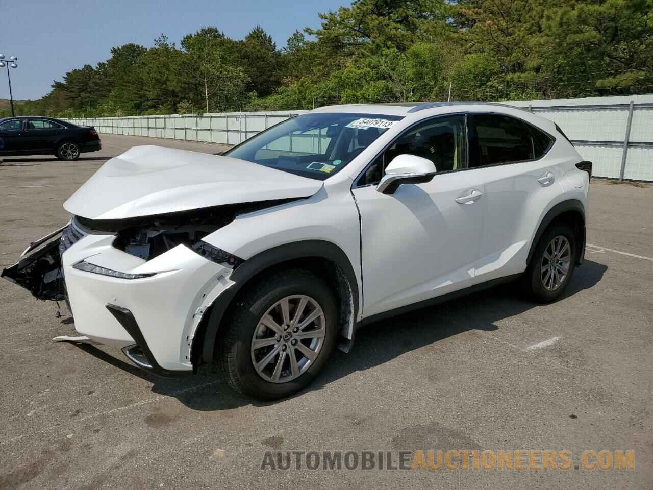 JTJDARDZXM2242362 LEXUS NX 2021