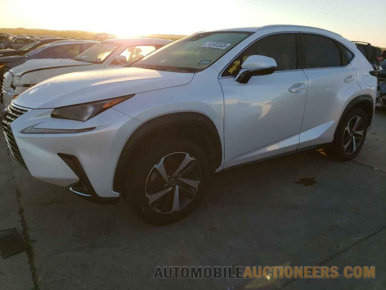 JTJGARDZ4M5026020 LEXUS NX 2021